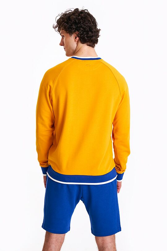 Retro style sweatshirt 3 | ORANGE | Audimas