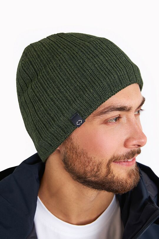 Polylana knitted hat 3 | GREEN | Audimas