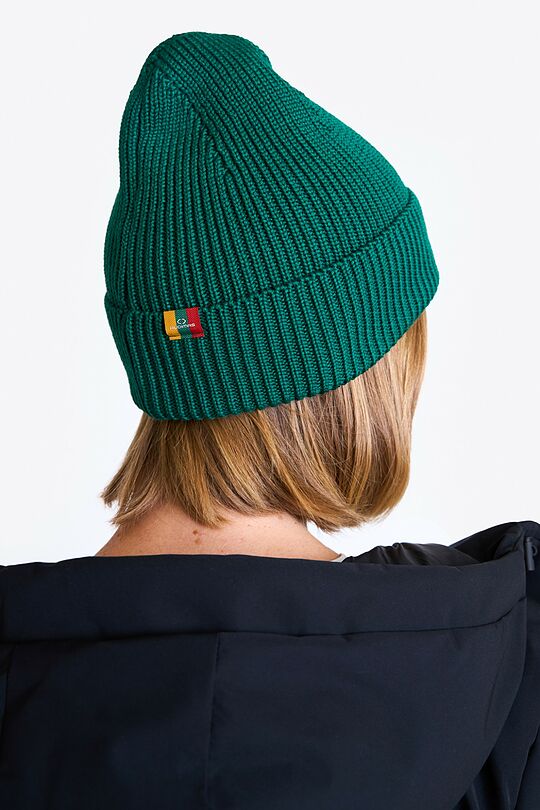 National collection knitted merino wool hat 3 | GREEN | Audimas