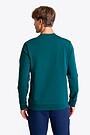 National collection embroidered  sweatshirt 2 | GREEN | Audimas